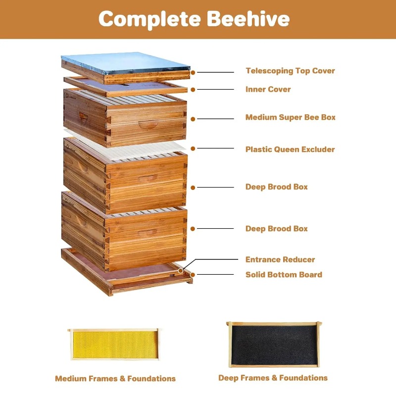 10-Frame Complete Beehive Kit, - Beehive Frame Wax review and price