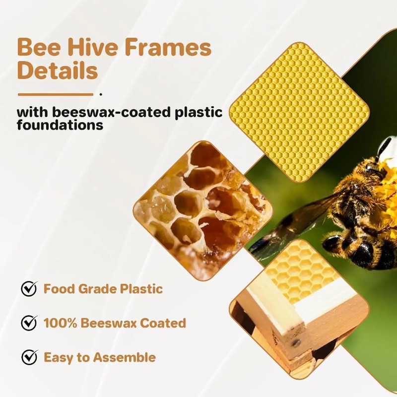 10-Frame Complete Beehive Kit, - Beehive Frame Wax review and price